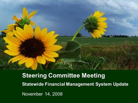 Steering Committee Meeting Statewide Financial Management System Update November 14, 2008.