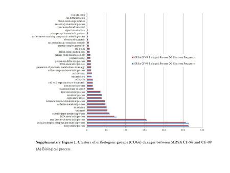 Supplementary Figure 1. Clusters of orthologous groups (COGs) changes between MRSA CF-96 and CF-09 (A) Biological process.