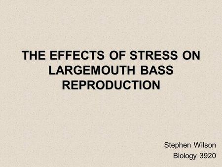 THE EFFECTS OF STRESS ON LARGEMOUTH BASS REPRODUCTION Stephen Wilson Biology 3920.