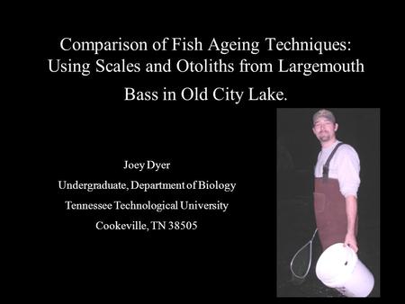 Comparison of Fish Ageing Techniques: Using Scales and Otoliths from Largemouth Bass in Old City Lake. Joey Dyer Undergraduate, Department of Biology Tennessee.