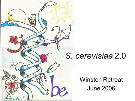 Winston Retreat June 2006 S. cerevisiae 2.0. Engineered Biological Systems Nature has optimized biology (“artifacts”) Technologies exist to optimize differently.