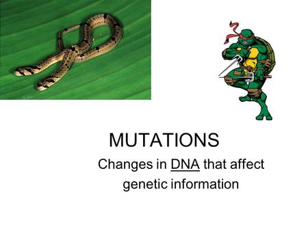 Changes in DNA that affect genetic information