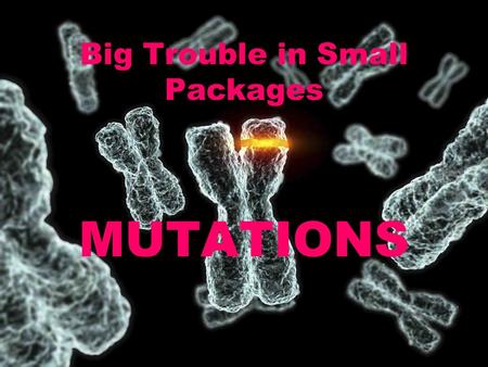 Big Trouble in Small Packages MUTATIONS. What is a “mutation”? A permanent change in the genetic code. A “grey factor” mutantA “comic factor” mutant.