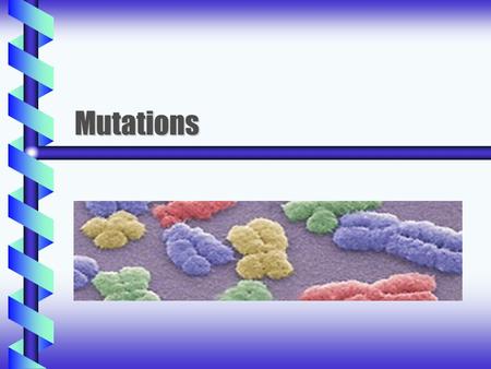 Mutations. What is a mutation? b Changes in the DNA sequence that affect genetic information Normal: Thesunwashotbuttheoldmandidnotgethishat. The sun.