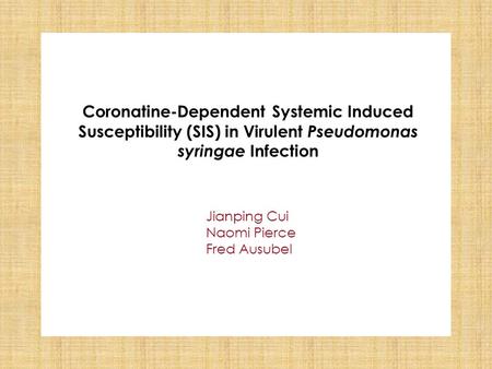 Coronatine-Dependent Systemic Induced Susceptibility (SIS) in Virulent Pseudomonas syringae Infection Jianping Cui Naomi Pierce Fred Ausubel.