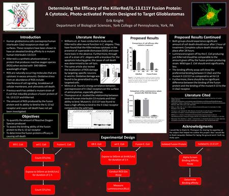 Determining the Efficacy of the KillerRed/IL-13.E11Y Fusion Protein: A Cytotoxic, Photo-activated Protein Designed to Target Glioblastomas Fusion E. ColiKR.