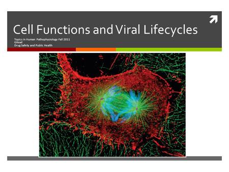  Cell Functions and Viral Lifecycles Topics in Human Pathophysiology Fall 2011 Gilead Drug Safety and Public Health.