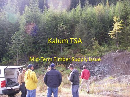 Kalum TSA Mid-Term Timber Supply Issue. Land classification Reduction area (ha) Result (ha) Gross TSA area 2,300,464 Large parks 460,845 Tree Farm Licences.