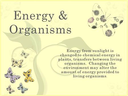 7 Energy & Organisms. PHOTOSYNTHESIS CELLULAR RESPIRATION.