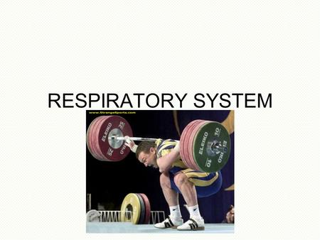 RESPIRATORY SYSTEM.