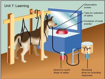 Unit 7: Learning. Behaviorism Belief that behavior is learned –genetics has little to do with it. “nurture-only” belief, mainstream1960s and 70s.