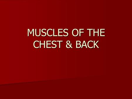 MUSCLES OF THE CHEST & BACK