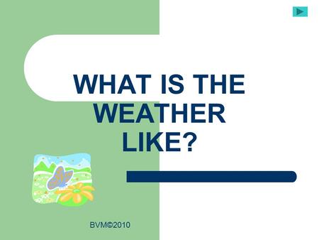 WHAT IS THE WEATHER LIKE?