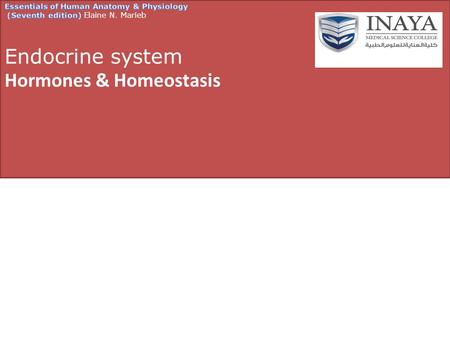 Homeostasis – maintaining internal balance in the body organism must keep internal conditions stable even if environment changes also called “dynamic.