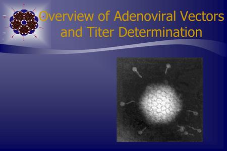 Overview of Adenoviral Vectors and Titer Determination.