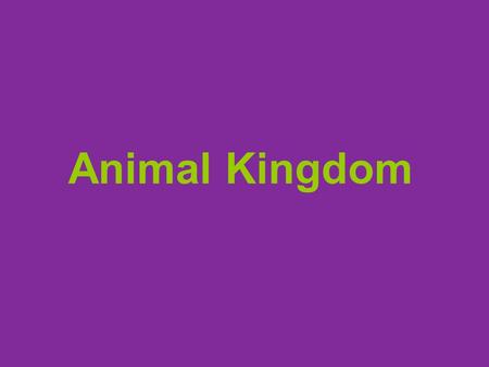 Animal Kingdom.