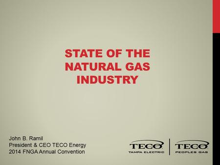 STATE OF THE NATURAL GAS INDUSTRY John B. Ramil President & CEO TECO Energy 2014 FNGA Annual Convention.