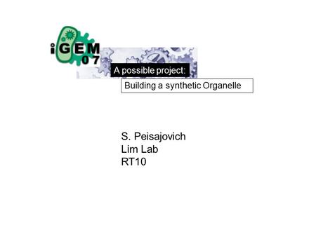 A possible project: Building a synthetic Organelle S. Peisajovich Lim Lab RT10.