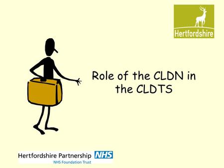 Role of the CLDN in the CLDTS. Nursing Structure Lead Nurse Strategic Liaison Nurse Creative Practitioner Expert by Experience Health Facilitation Nurses.