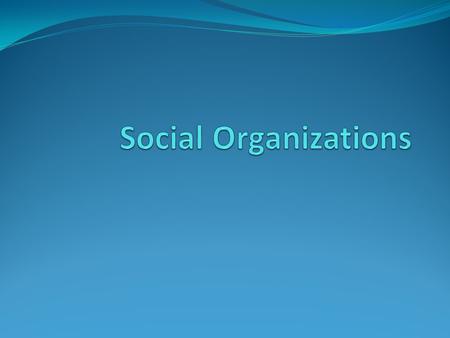 The Role of Social Organizations Human beings are social creatures This means that they prefer to live in groups Social Organizations bring structure.