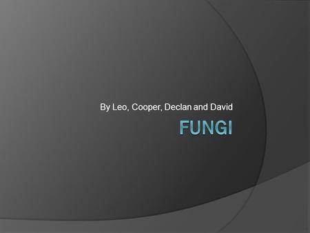 By Leo, Cooper, Declan and David. How they get food  Fungi are heterotrophs  They get their food from dead and decaying organisms in the soil.