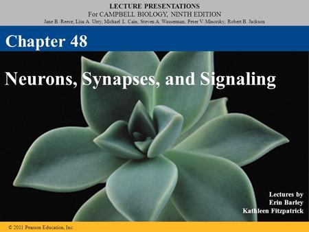 LECTURE PRESENTATIONS For CAMPBELL BIOLOGY, NINTH EDITION Jane B. Reece, Lisa A. Urry, Michael L. Cain, Steven A. Wasserman, Peter V. Minorsky, Robert.