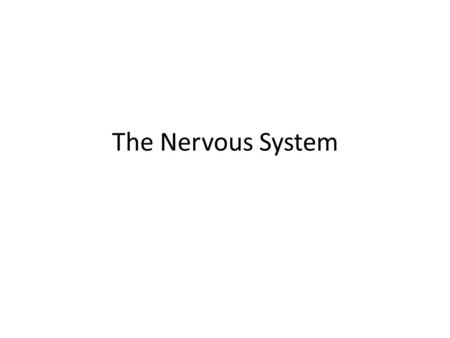 The Nervous System. Define the following terms: Nerve system Receptor Stimulus Neuron Impluses Effector Brain Synapse In paragraph/diagram form, explain.