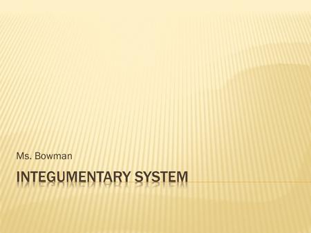 Ms. Bowman.  Covers the entire body  Surface area of 1.2 to 2.2 square meters  9-11 lb  Accounts for about 7% of total body weight in average adult.