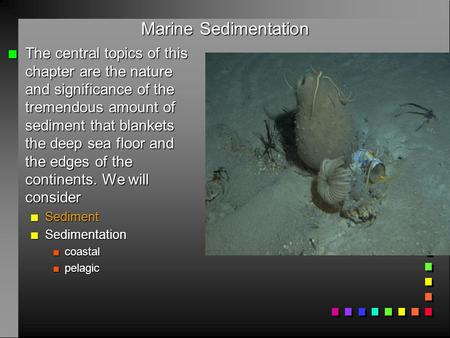 Marine Sedimentation n The central topics of this chapter are the nature and significance of the tremendous amount of sediment that blankets the deep sea.