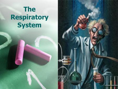 The Respiratory System. The process in which oxygen and glucose undergo a complex series of chemical reactions inside cells is called… RESPIRATION.