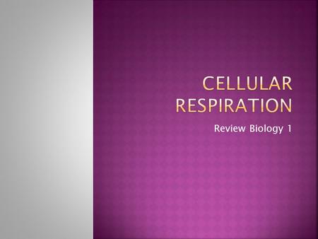 Review Biology 1. Where does this occur in the cell? What is the “Power House” of the cell? Is this what keeps the cell alive? Is energy important to.