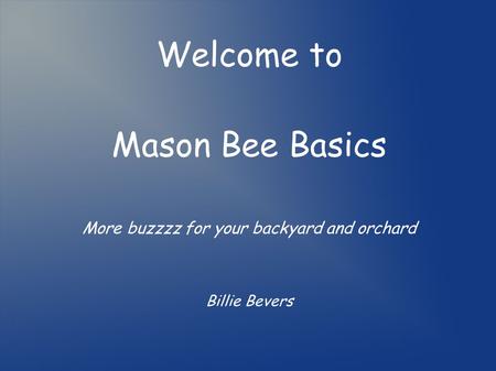 What are Mason Bees? Native to US 130 types in NW Non aggressive