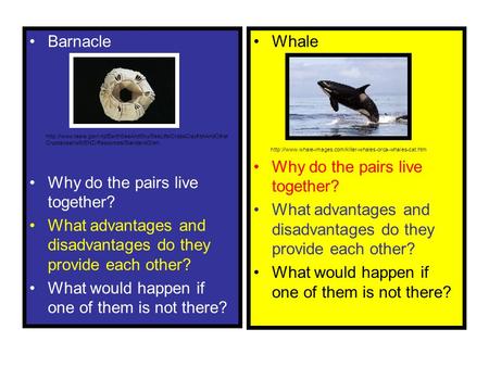 Why do the pairs live together?