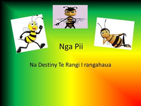 Nga Pii Na Destiny Te Rangi I rangahaua. Te Aahuatanga O te Pii Ko te pii he kowhai me te mangu. Ina pii are collecting food they have to go to about.