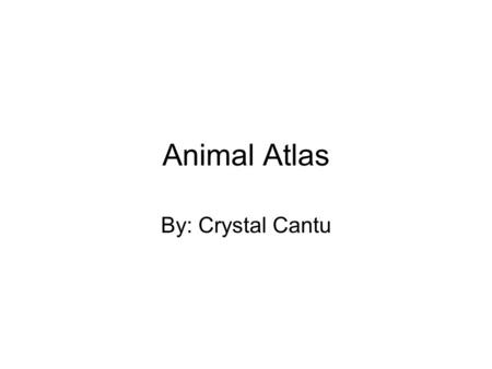 Animal Atlas By: Crystal Cantu. Porifera Common name: Sponges. Symmetry: Asmmetrimic. Special characteristics: Special organs and tissues.