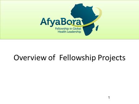 1 Overview of Fellowship Projects. Project to depend on what is available in host institution with strong mentorship Should address activities and tasks.