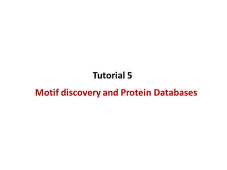 Motif discovery and Protein Databases Tutorial 5.