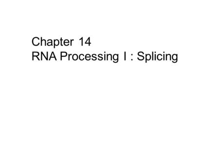 Chapter 14 RNA Processing I : Splicing.