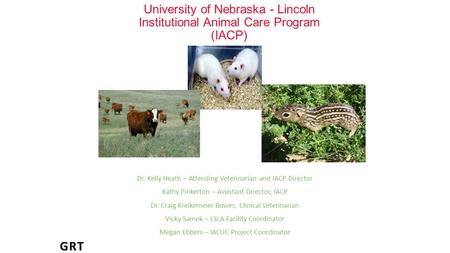 University of Nebraska - Lincoln Institutional Animal Care Program (IACP) Dr. Kelly Heath – Attending Veterinarian and IACP Director Kathy Pinkerton –