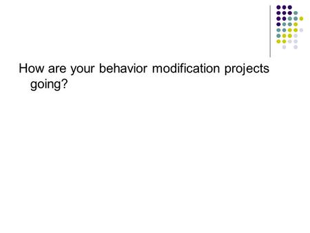 How are your behavior modification projects going?