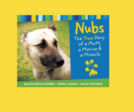 Nubs is a story of friendship. What do you look for in a friend?