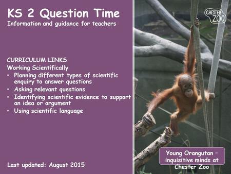 KS 2 Question Time Information and guidance for teachers CURRICULUM LINKS Working Scientifically Planning different types of scientific enquiry to answer.