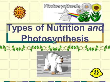 Types of Nutrition and Photosynthesis