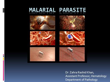 Dr Zahra Rashid Khan, Assistant Professor, Hematology Department of Pathology.