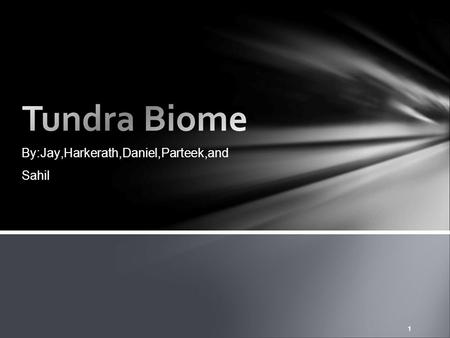 1 By:Jay,Harkerath,Daniel,Parteek,and Sahil. 2. Introduction. Animal Life. Physical Landscape. Climate. Plant Life. Human Influences. Tundra Map. Map.