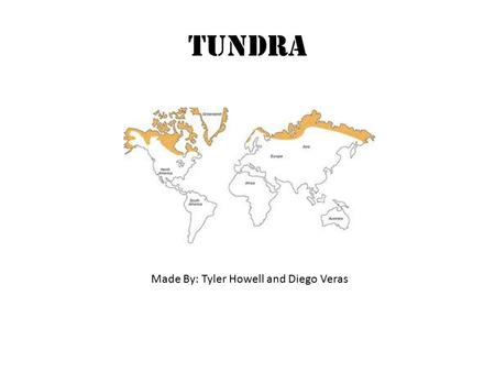 Tundra Made By: Tyler Howell and Diego Veras. Tundra Diagram.