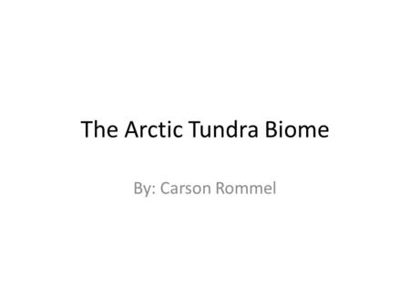 The Arctic Tundra Biome