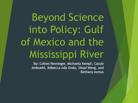 Beyond Science into Policy: Gulf of Mexico and the Mississippi River By: Colten Nswonger, Michaela Kempf, Cassie Ambuehl, Rébecca Ada Ondo, Shuai Wang,