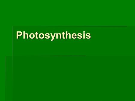 Photosynthesis.