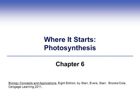 Where It Starts: Photosynthesis